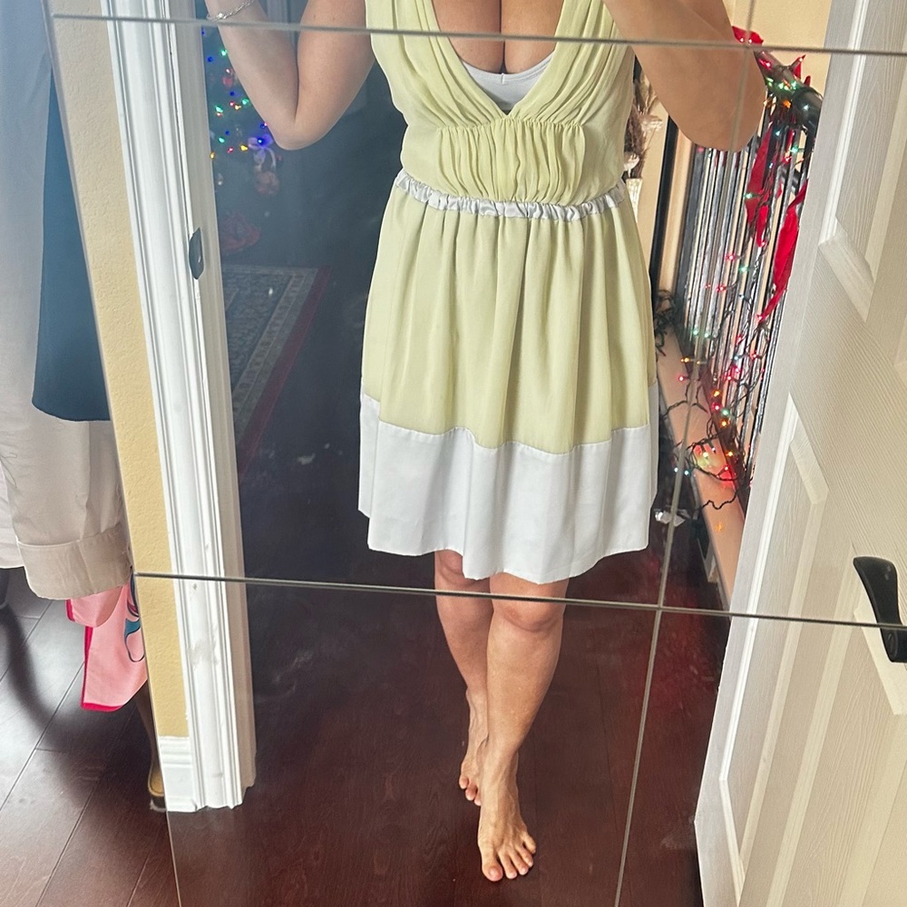 MaxMara Light Green and White Mini Dress